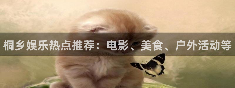 摩登74登录：桐乡娱乐热点推荐：电影、美食、户外活动等