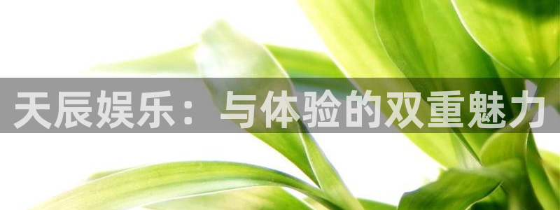 摩登7官网注册：天辰娱乐：与体验的双重魅力