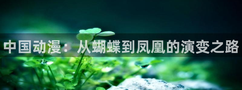 pg摩登7平台下载入口：中国动漫：从蝴蝶到凤凰的演变之路