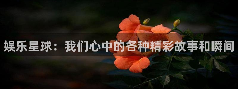 摩登7下载并安装：娱乐星球：我们心中的各种精彩故事和瞬间