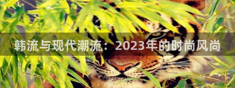 摩登7平台主管：韩流与现代潮流：2023年的时尚风尚