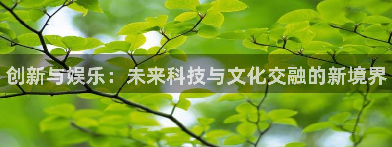 摩登72登录地址：创新与娱乐：未来科技与文化交融的新境界