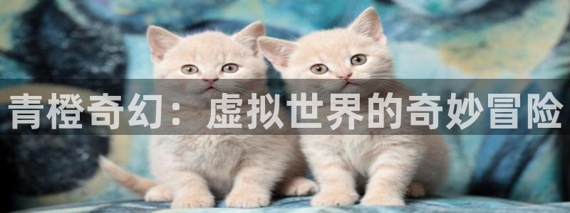 摩登7有梦你就来：青橙奇幻：虚拟世界的奇妙冒险