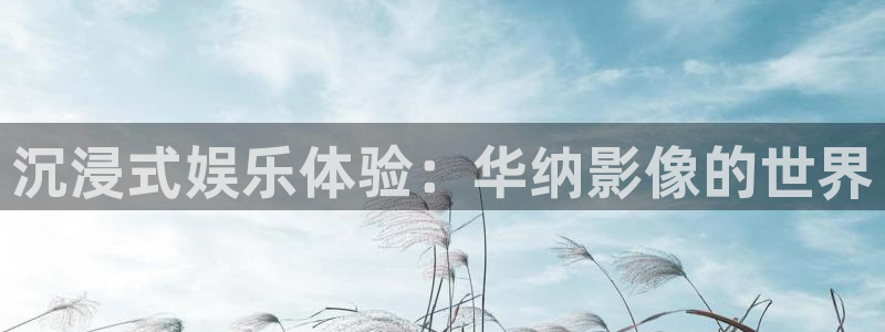 摩登7凯捷平台：沉浸式娱乐体验：华纳影像的世界