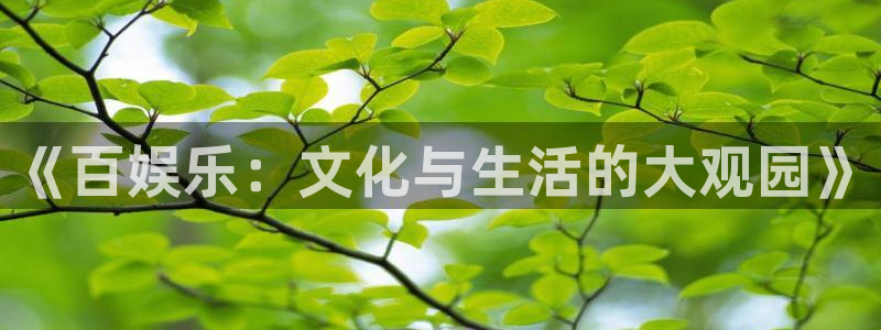 摩登7招商：《百娱乐：文化与生活的大观园》