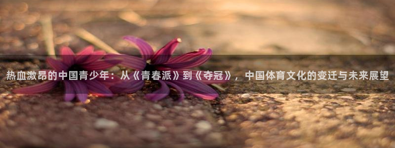 摩登7体育凯捷平台代理：热血激昂的中国青少年：从《青春派》到《夺冠》，中国体育文化的变迁与未来展望
