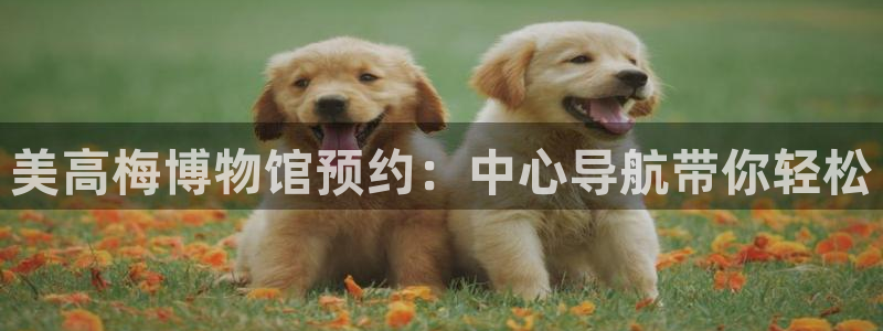 摩登7k：美高梅博物馆预约：中心导航带你轻松