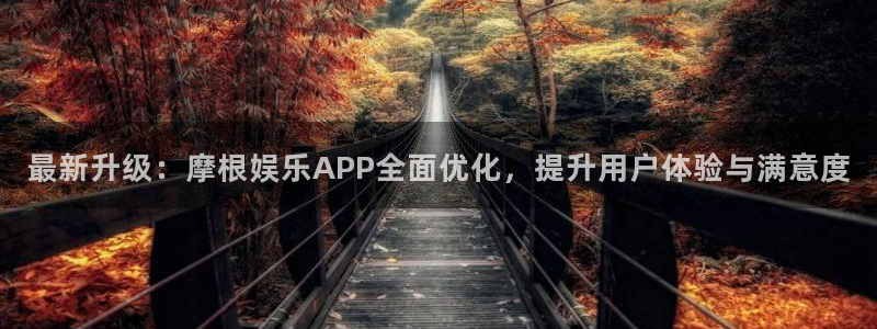 摩登7体育和杏耀是哪个公司的：最新升级：摩根娱乐APP全面优化，提升用户体验与满意度