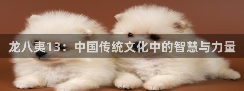 摩登74登录：龙八夷13：中国传统文化中的智慧与力量