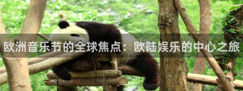 摩登7账号注册：欧洲音乐节的全球焦点：欧陆娱乐的中心之旅