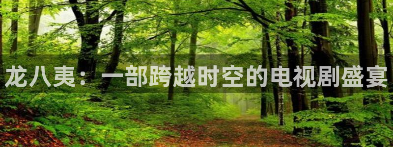 摩登7注册网站：龙八夷：一部跨越时空的电视剧盛宴