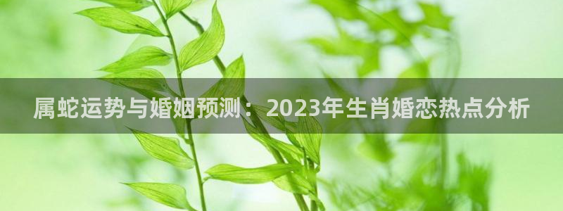 摩登7包怎么样：属蛇运势与婚姻预测：2023年生肖婚恋热点分析