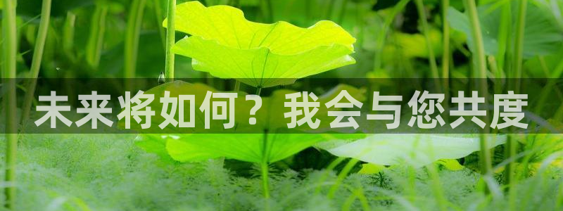 摩登7平台招商：未来将如何？我会与您共度