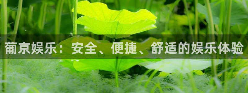 南宫摩登7官网下载链接：葡京娱乐：安全、便捷、舒适的娱乐体验