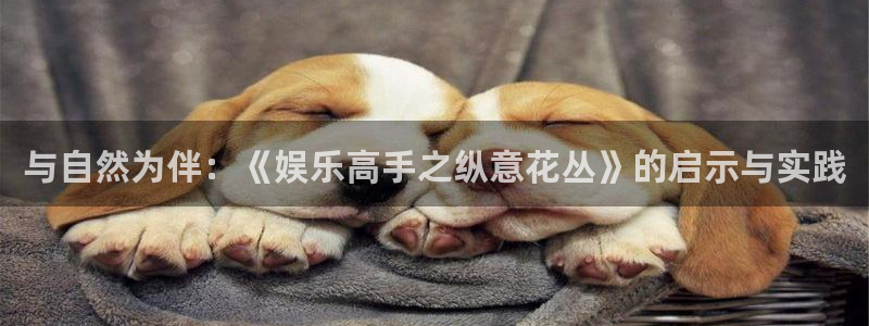 摩登7体育f开户：与自然为伴：《娱乐高手之纵意花丛》的启示与实践
