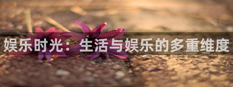 摩登7是正规平台吗：娱乐时光：生活与娱乐的多重维度
