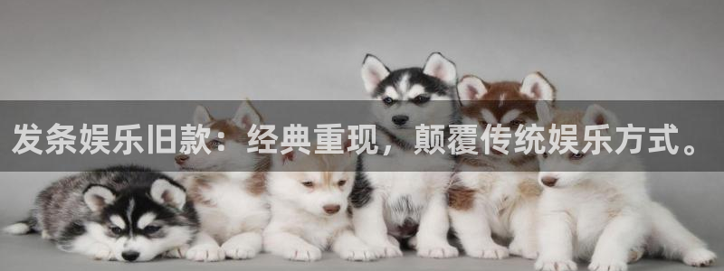 摩登7网站：发条娱乐旧款：经典重现，颠覆传统娱乐方式。