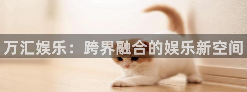 摩登72登录：万汇娱乐：跨界融合的娱乐新空间