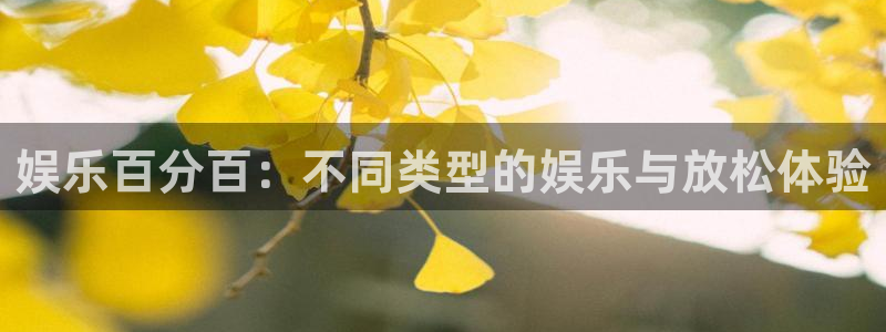 摩登7是真的吗：娱乐百分百：不同类型的娱乐与放松体验