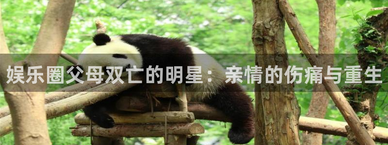 摩登7加拿大官网：娱乐圈父母双亡的明星：亲情的伤痛与重生