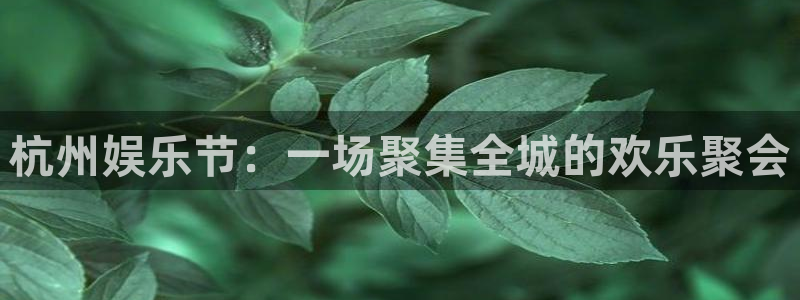 摩登7官网注册：杭州娱乐节：一场聚集全城的欢乐聚会
