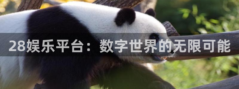 摩登7体育1招商：28娱乐平台：数字世界的无限可能