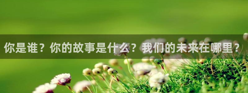 摩登7电子游戏：你是谁？你的故事是什么？我们的未来在哪里？