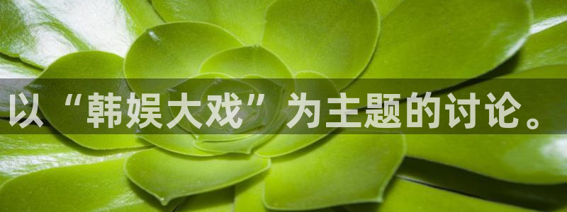 摩登7在线预测：以“韩娱大戏”为主题的讨论。
