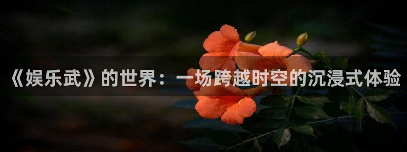 摩登75注册：《娱乐武》的世界：一场跨越时空的沉浸式体验