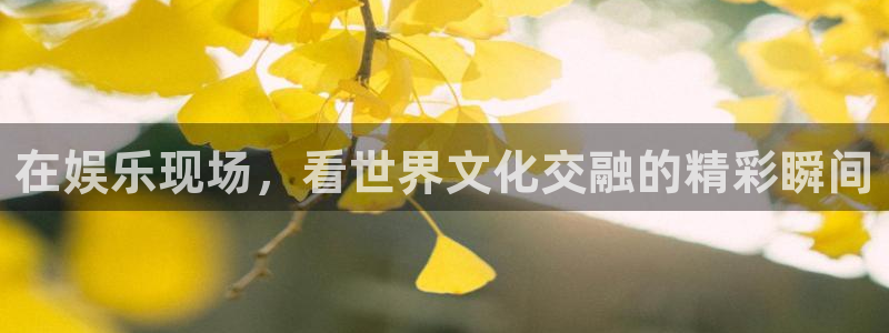 摩登7账号注册入口：在娱乐现场，看世界文化交融的精彩瞬间
