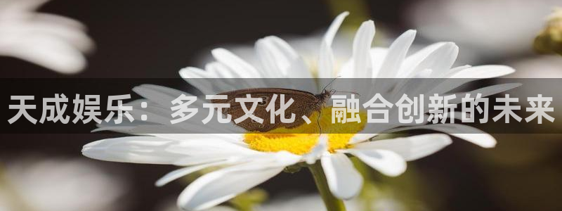 摩登7体育3：天成娱乐：多元文化、融合创新的未来